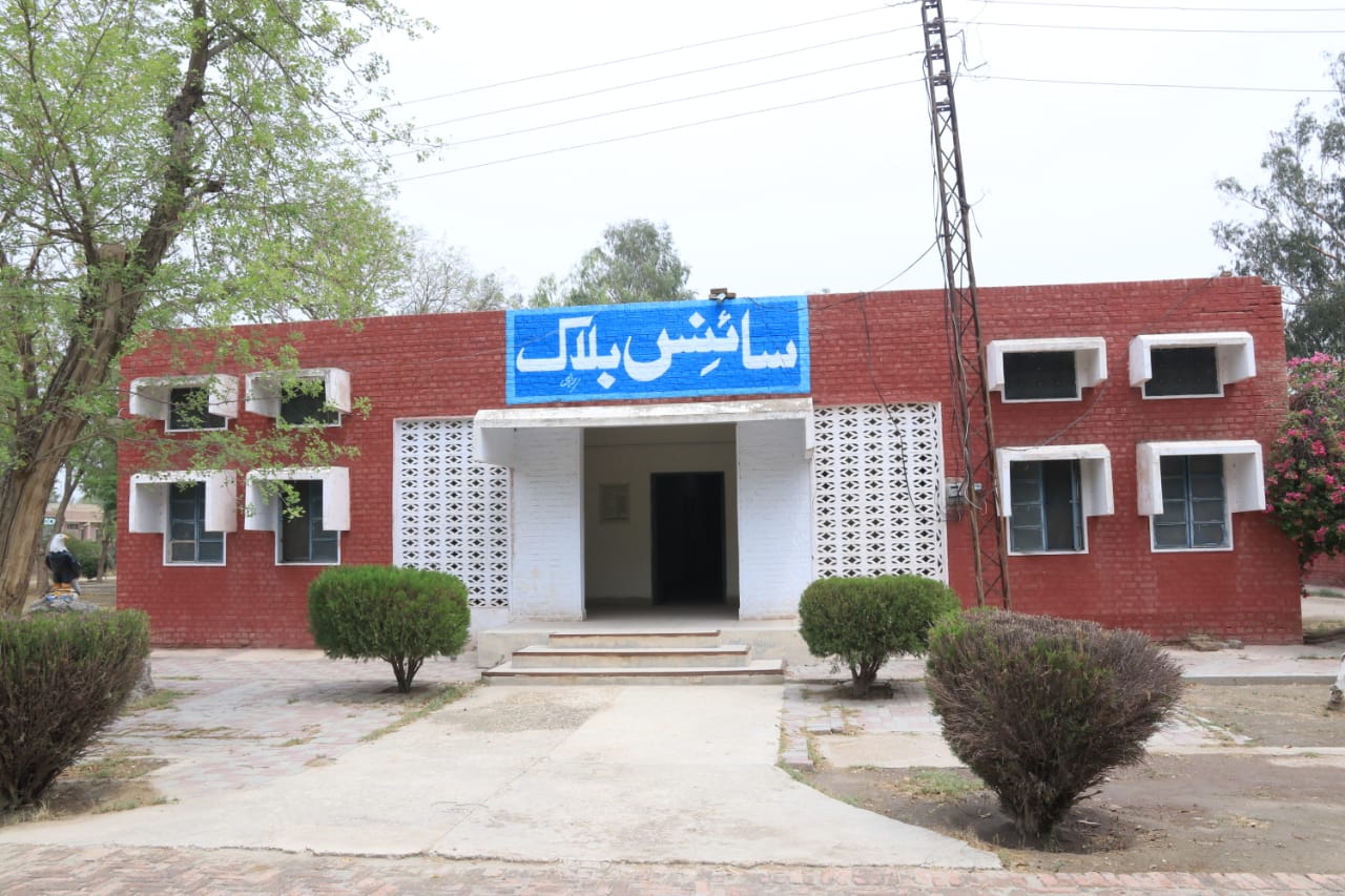 College Gallery Image